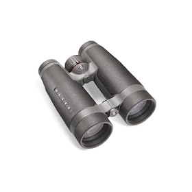 Bushnell Elite 625012 Kit - Bushnell Elite 12.5x50 Binocular and Bushnell 788045 Elite 20-60x80 ED... by 