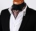 SetSense Men's Floral Jacquard Woven Self Cravat Tie Ascot
