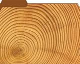 Wood Spiral Designer File Folders