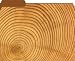 Wood Spiral Designer File Folders