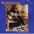 Big Bill Blues by 