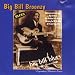 Big Bill Blues