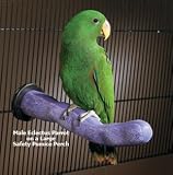 Pet Supplies : Sweet Feet and Beaks 14004 Large Safety Pumice Perch