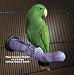 Pet Supplies : Sweet Feet and Beaks 14004 Large Safety Pumice Perch