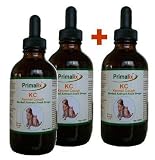 413X 17FnlL. SL160  Kennel Cough