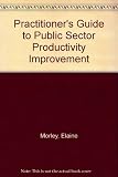 A practitioners guide to public sector productivity improvement