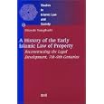 A History of the Early Islamic Law of Property: Reconstructing the Legal Development, 7Th-9Th Centuries (Studies in... by Hiroyuki Yanagihashi