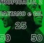 Tropicalia 2