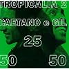 Tropicália 2