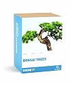 Gift Republic: Grow It. Grow Your Own Bonsai Trees