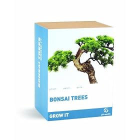 Gift Republic: Grow It. Grow Your Own Bonsai Trees