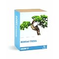 Gift Republic: Grow It. Grow Your Own Bonsai Trees