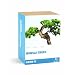 Gift Republic: Grow It. Grow Your Own Bonsai Trees