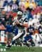 Kerry Collins Carolina Panthers Signed 8x10 Photo