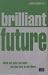 Books : Brilliant Future: Work Out What You Want and Plan How to Get There
