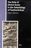 The Role of Divine Grace in the Soteriology of Samkaracarya (Studies in the History of Religions)