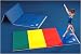 Sporting Goods : Mancino 4x8 Multicolor Floor Exercise, Landing, Training, Tumbling Folding Gym Mat