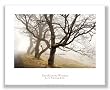 Early Morning Calm by David Lorenz Winston 16.25"x24.5" Art Print Poster