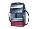 PackIt Freezable Double Bottle Wine Bag, Cali Stripes