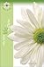My New Life in Christ (The Fresh Start Series - An Exciting Series for Discipling New Christian Women in Their Faith)