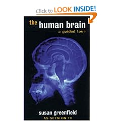 The Human Brain: A Guided Tour (Science Masters)