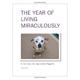 The Year of Living Miraculously