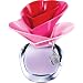 Justin Bieber Someday Eau de Parfum Spray 30ml