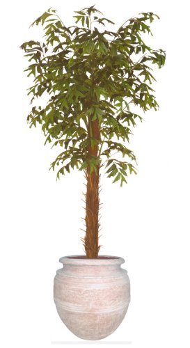 8FT FISHTAIL PALM/2PC