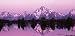 Purple Mountains - Rear Window Graphic 18 x 52
