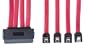 Tripp Lite S502-20N Internal SAS Cable 4-in-1 32Pin to 4 x 7pin Cable (20 inches)