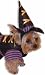 Forum Novelties 64861 Pet Witch Costume Large - For Dogs & Cats