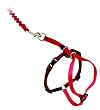 Easy Walk Cat Harness and Bungee Leash - Large, Red