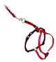 Easy Walk Cat Harness and Bungee Leash - Medium, Red