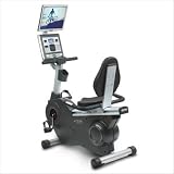 Stex Fitness 8020RL Recumbent Bike