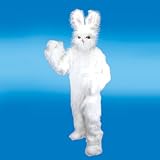  : BUNNY COSTUME