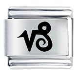 Capricorn Symbol Birthstones Jewelry Italian Charm
