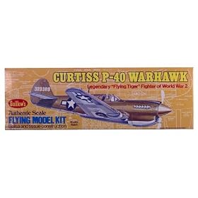 Curtiss P40 Warhawk from Toy RC Airplanes