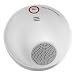 Tools & Hardware : Vocal Smoke Detector for Home and Family Safety