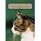 Feline Care - Encyclopedias, Wit, Wisdom, & Catspeak