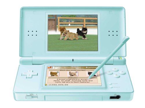 Nintendo DS Lite Handheld Console (Turquoise)