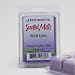 2-Pack Wild Lilac EcoScents Scented Wax Melts - No childhood memory is so vivid as the fresh fragrance of Grandma's blooming lilac bush each spring. Maximum scent load delivering 120+ hours of fragrance.