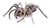 Jurassic 3D Tarantula JigsawIMAGE