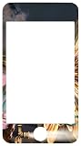 Skinit Protective Skin for iPod Touch 1G (Brigid Ashwood Firefly - Steampunk)