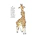 Art Impressions 4190 Zoo Crew Series Giraffe Set Rubber Stamp