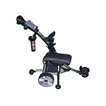 NFM Electric Remote Control Golf Cart (Silver Prince 2009 Model)