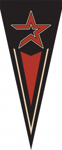Houston Astros Pennant