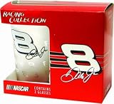 Dale Earnhardt Jr Frosted Nascar Racing Glass Set