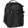 AmazonBasics Backpack for SLR Cameras and Accessories (Black)