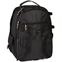 AmazonBasics Backpack for SLR Cameras and Accessories (Black)