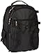 AmazonBasics Backpack for SLR Cameras and Accessories (Black)